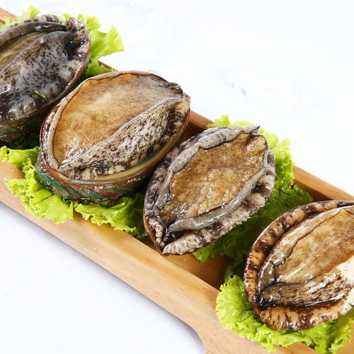 鮑魚(yú)-粵崗蔬菜配送